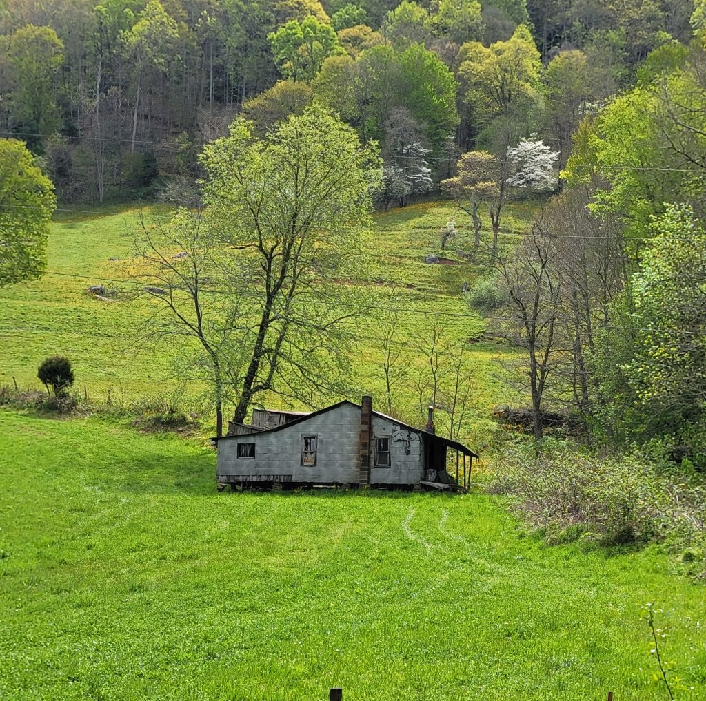 Heartstrings of Appalachia: A Journey Through Love and&nbsp;Community
