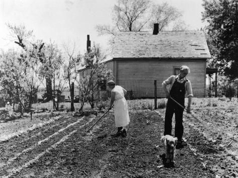 Appalachia’s Survival: The Roots of Farm to Table&nbsp;Culture
