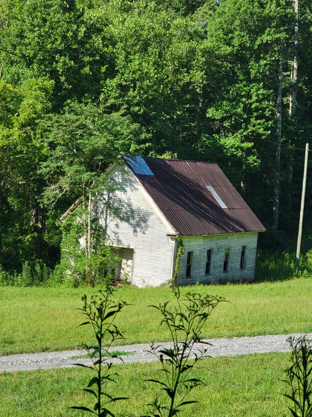 Growing Up in Appalachia: My Life in the Western NC&nbsp;Mountains
