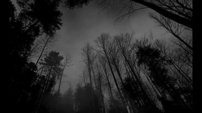 The Mystery Behind Appalachian Folklore: “Don’t Look in the Trees” and Other Tales of the&nbsp;Woods