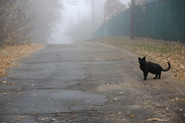 Appalachian Superstitions: A Journey into the Mystical Beliefs of the&nbsp;Mountains