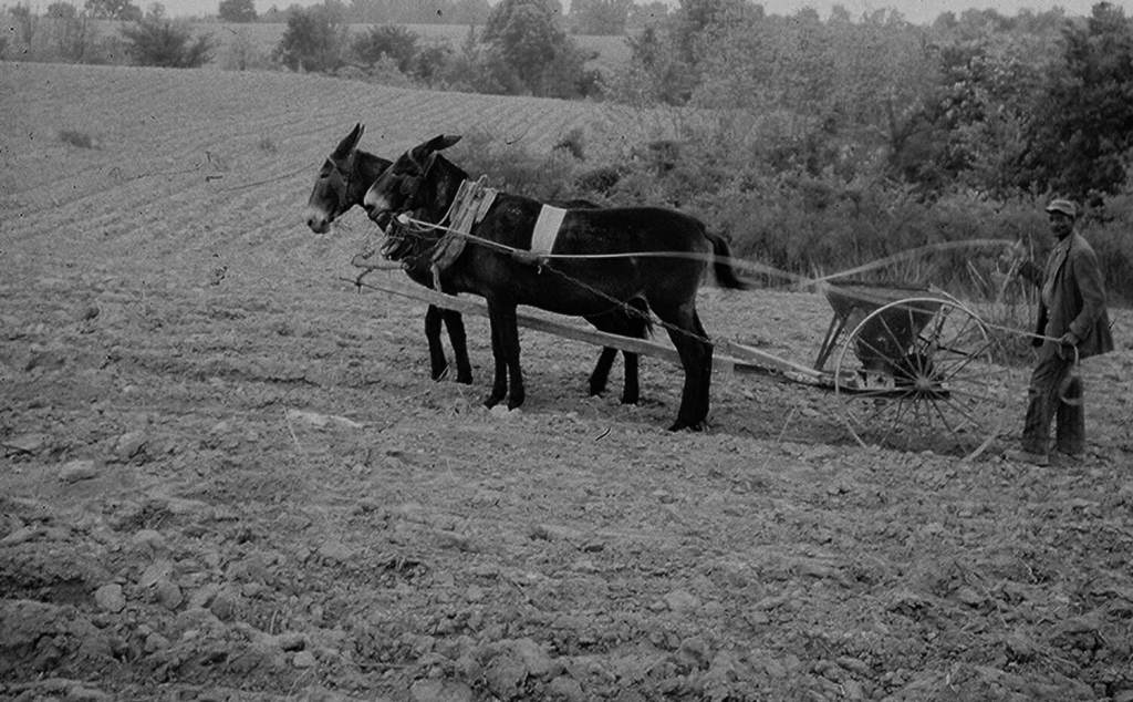 Budget Cuts by the Trump Administration in 2025 Leave Appalachian Farmers Facing Financial Strain