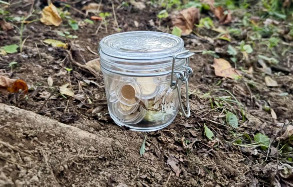 Treasure in the Blue Ridge Mountains and the Heart of Appalachia: $26,000 in Gold Up for&nbsp;Grabs