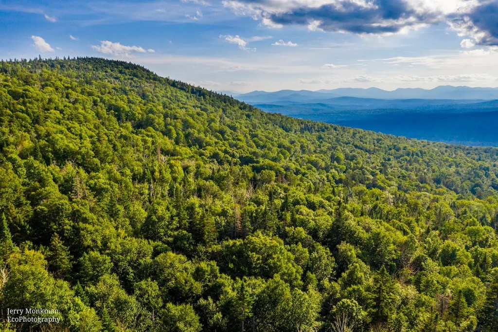 The Future Forest: Science Guiding the Appalachian Landscape Toward&nbsp;Renewal