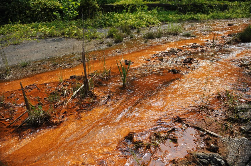 They Blew the Tops Off Appalachia and What Was Left Behind Tells a Darker Story