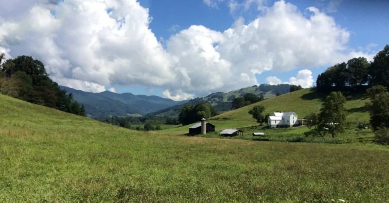 A New Fight Is Exploding Across Appalachia: Chickens, Property Values, and Outsiders